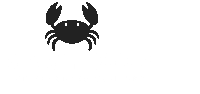 Bagy Bob The Premium Beach Bags Company